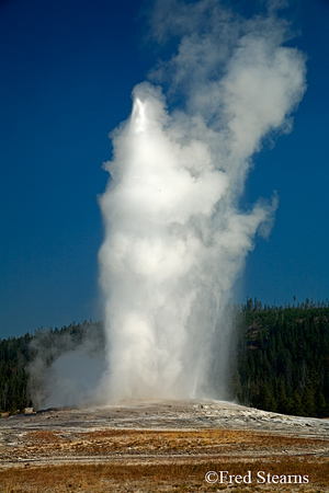 Yellowstone National Park